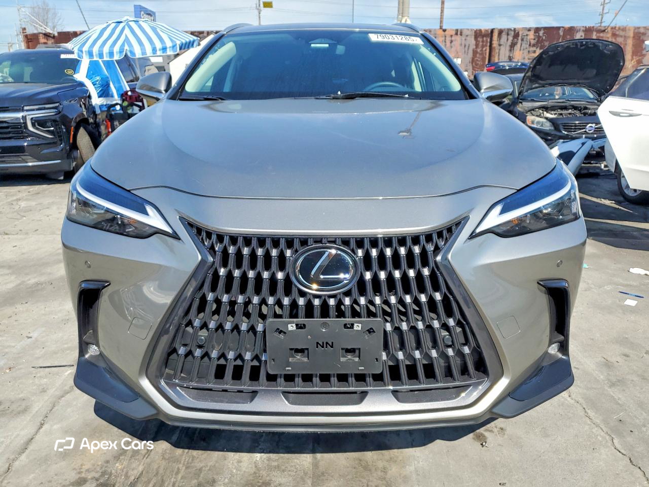 Lexus NX 2025