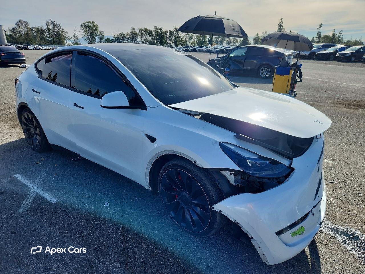 Tesla Model Y 2023