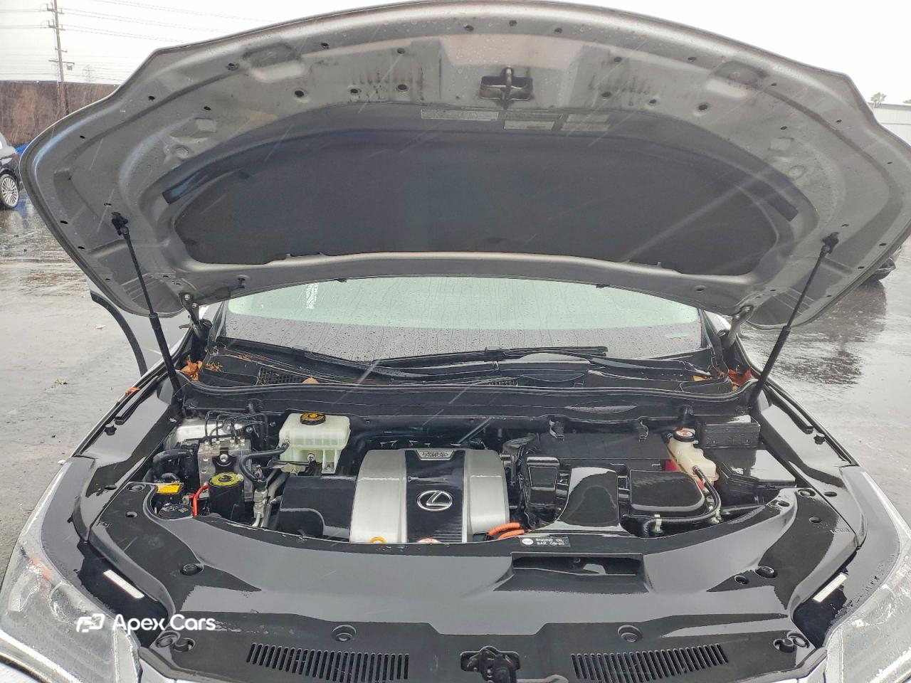 Lexus RX 2019