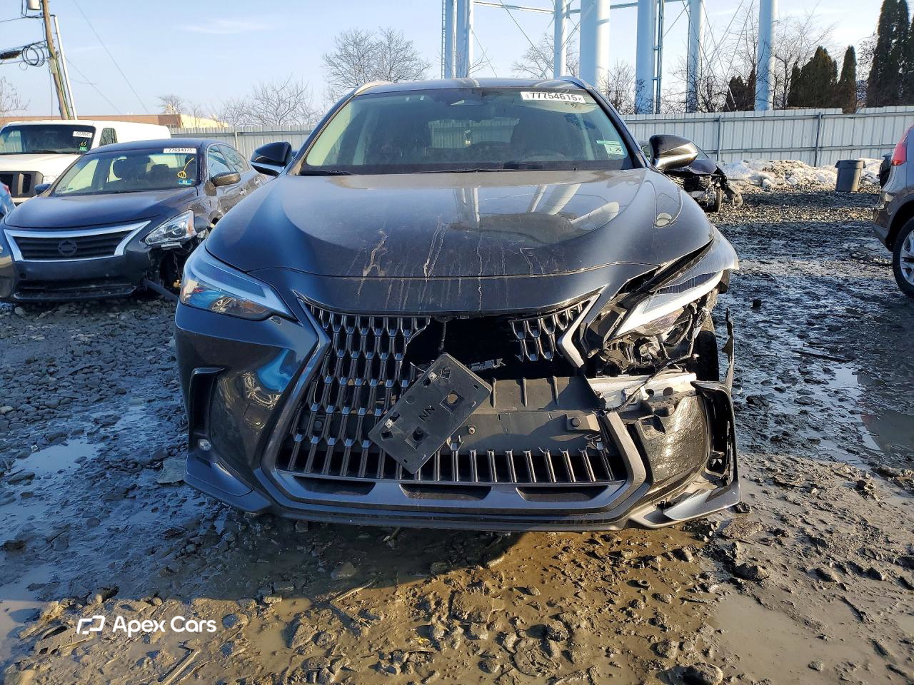 Lexus NX 2024
