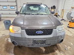 Ford Escape 2007