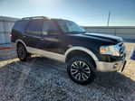Ford Expedition 2009
