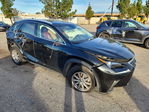 Lexus NX 2019