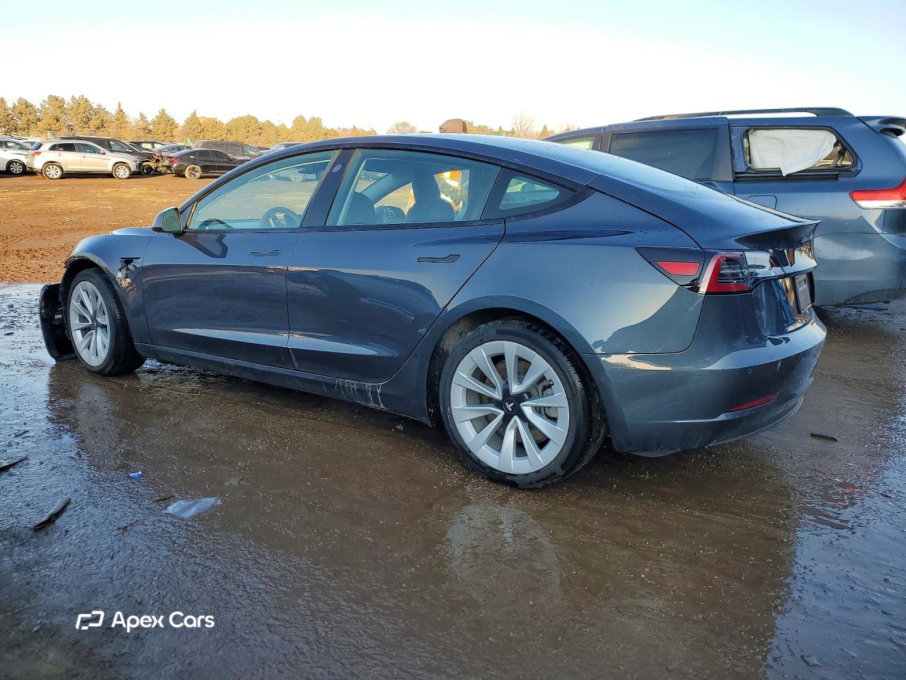 Tesla Model 3 2021