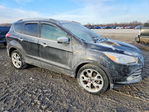 Ford Escape 2015