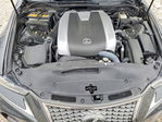 Lexus IS 2019