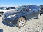 Lexus RX 2010
