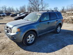 Ford Escape 2010