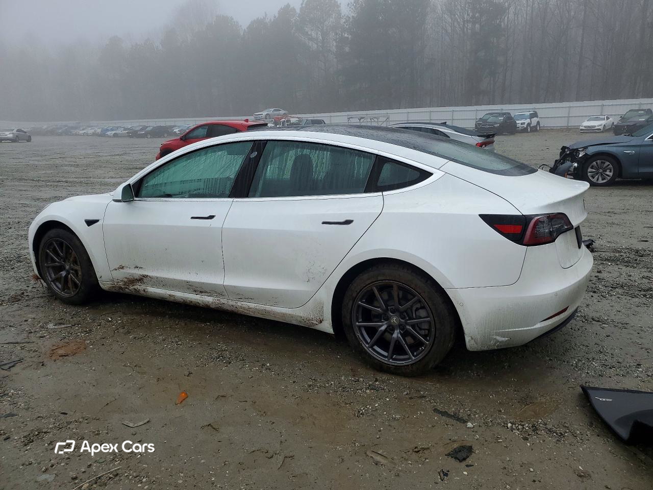Tesla Model 3 2020