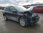Ford Escape 2024