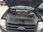 Ford Expedition 2010