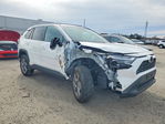 Toyota RAV 4 2024