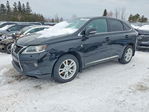 Lexus RX 2013