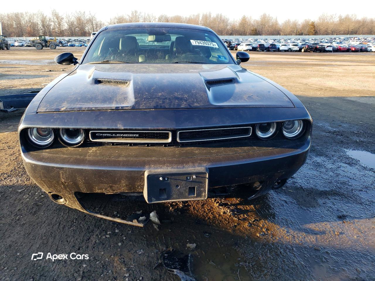 Dodge Challenger 2018