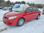 Toyota Corolla 2009