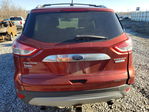 Ford Escape 2014