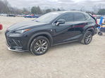 Lexus NX 2021