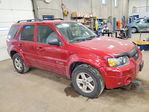 Ford Escape 2007