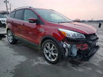 Ford Escape 2015