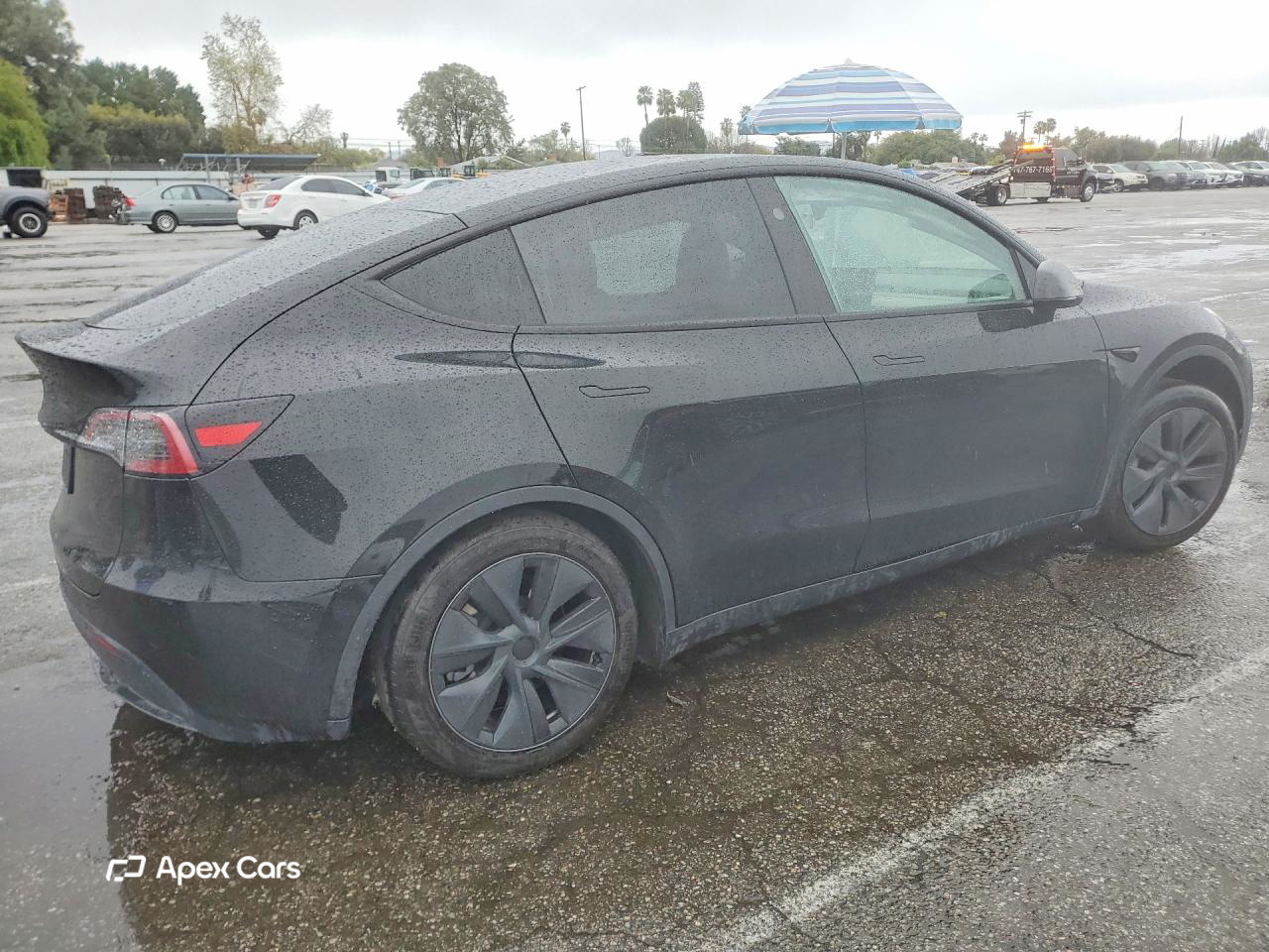 Tesla Model Y 2025