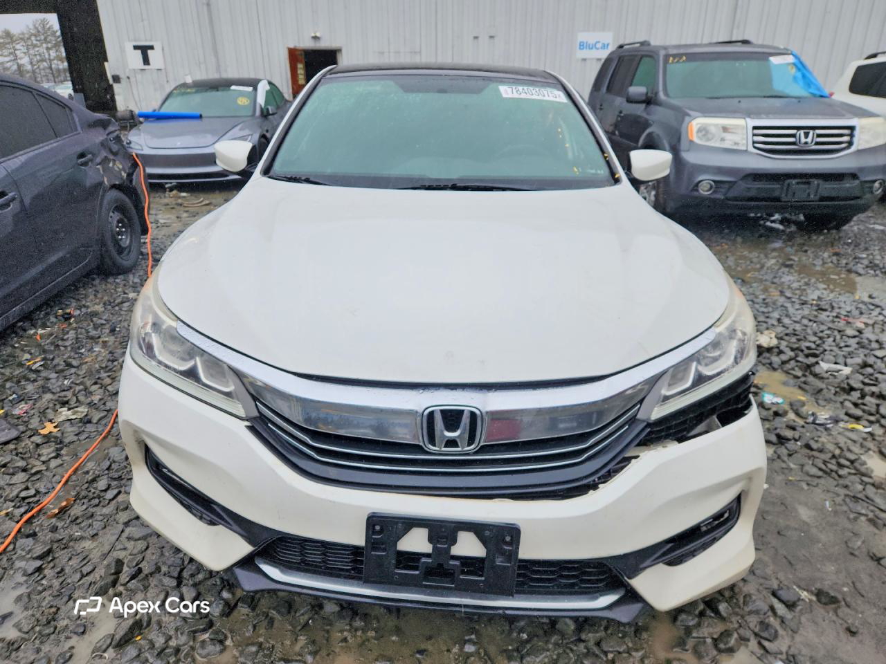 Honda Accord 2017