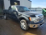 Ford F-150 2013