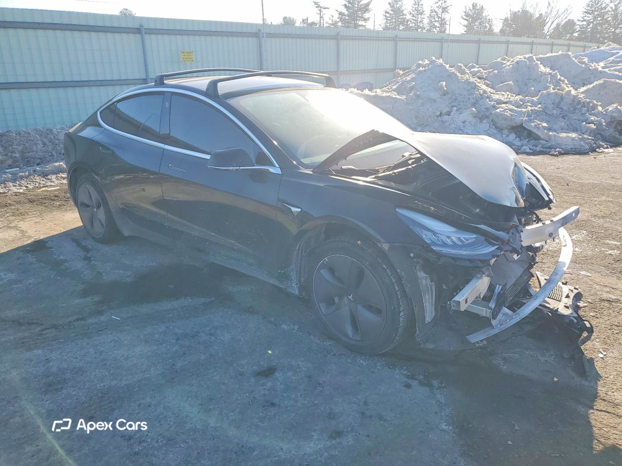 Tesla Model 3 2019