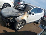 Ford Escape 2014