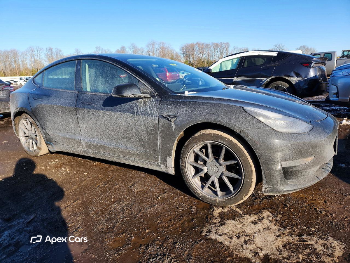 Tesla Model 3 2021