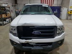 Ford Expedition 2010