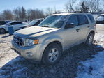 Ford Escape 2012