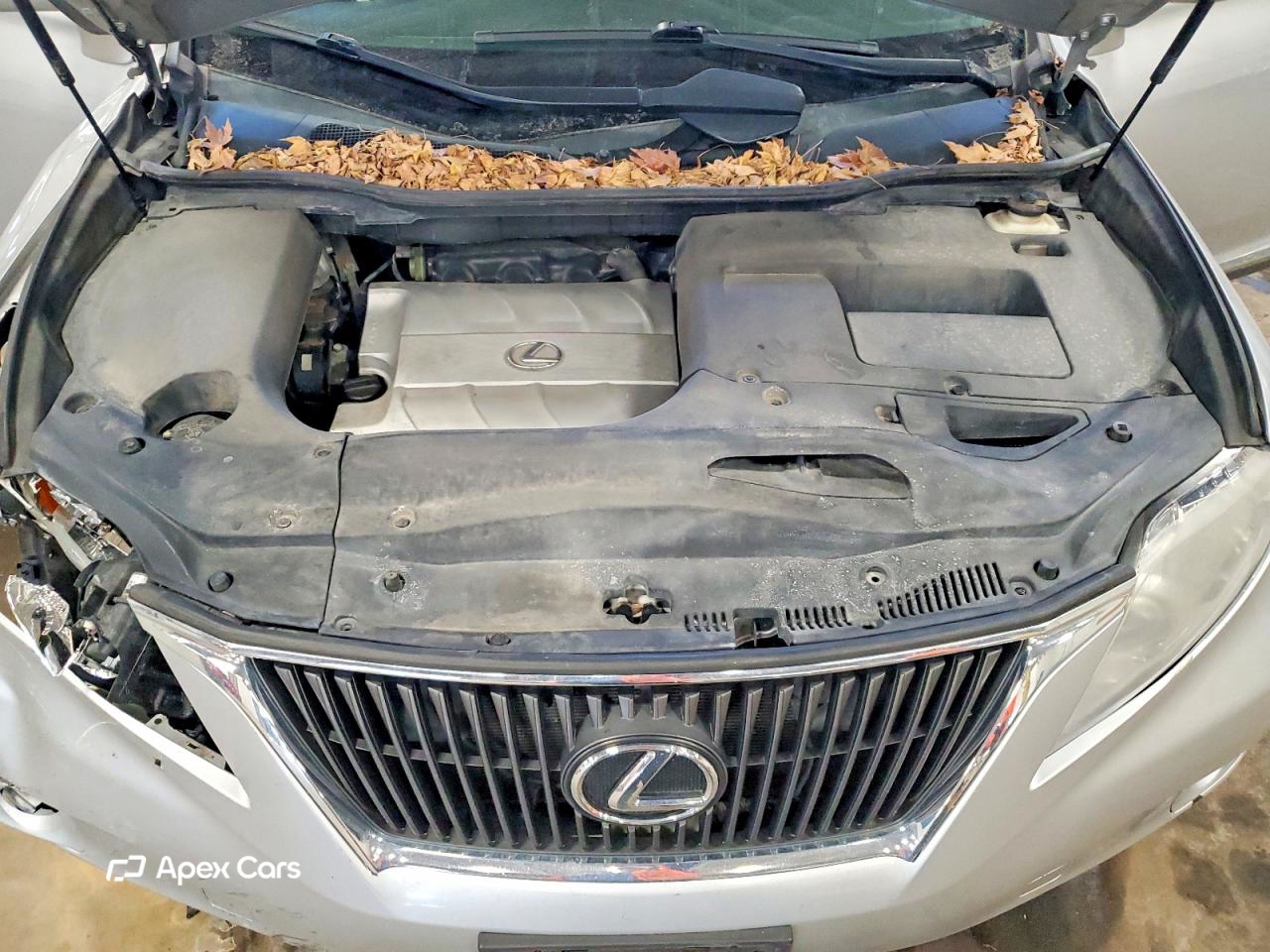 Lexus RX 2010