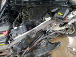 Ford Crown Victoria 2005