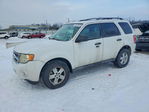 Ford Escape 2010