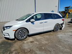 Honda Odyssey 2023