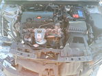 Honda Civic 2024