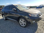 Lexus RX 2010