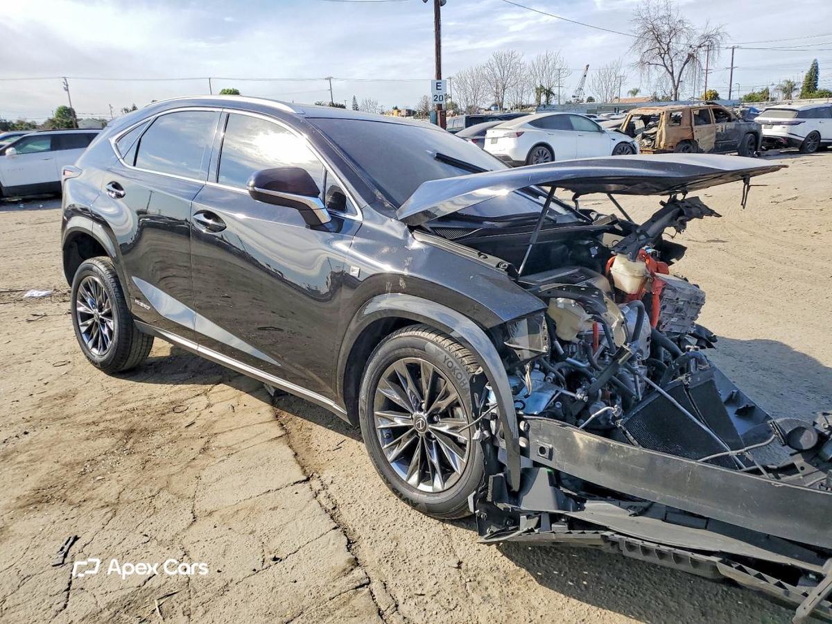 Lexus NX 2021