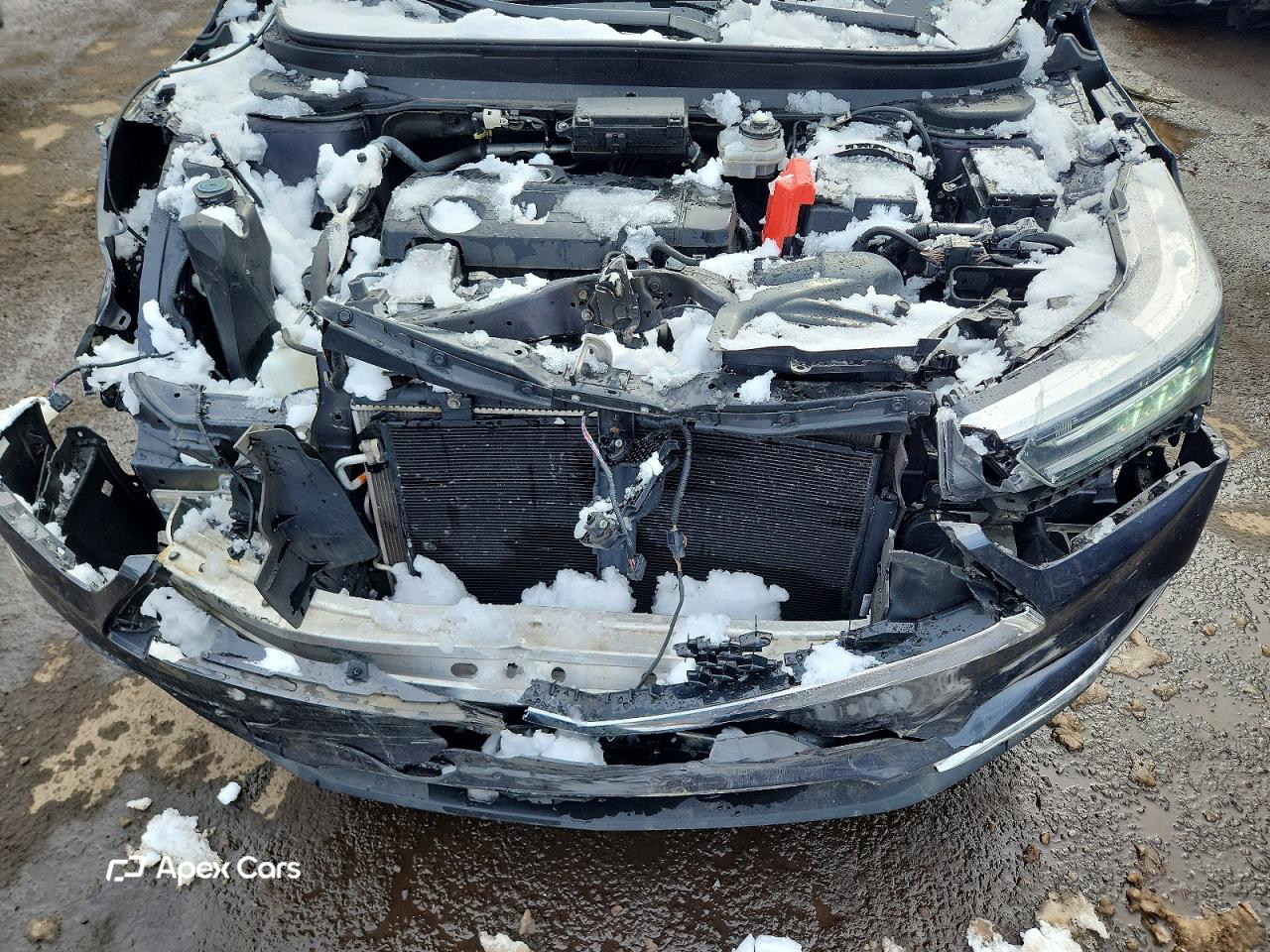 Acura RDX 2019