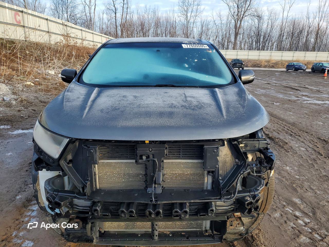 Ford Edge 2015