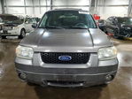 Ford Escape 2005