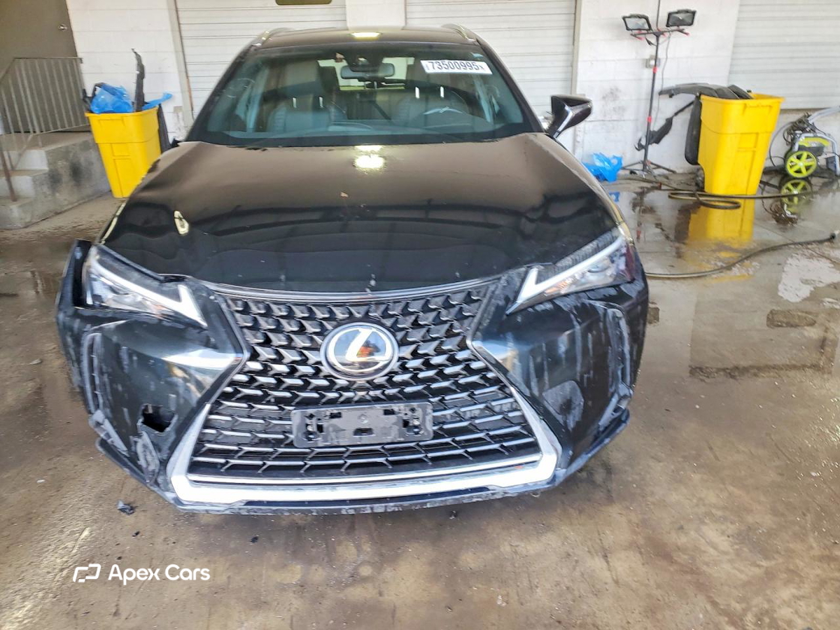 Lexus UX 2019