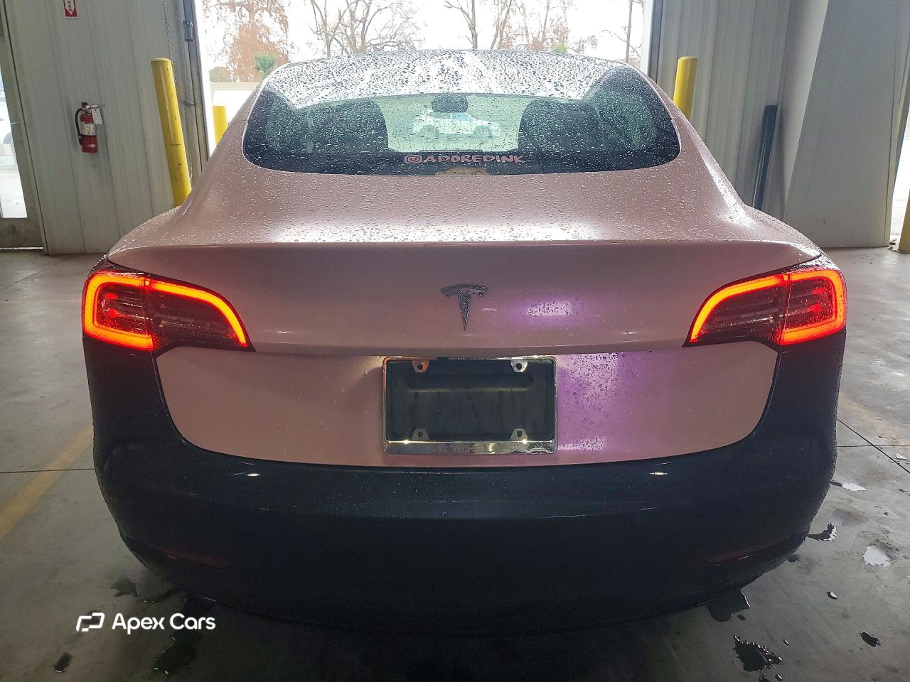 Tesla Model 3 2019