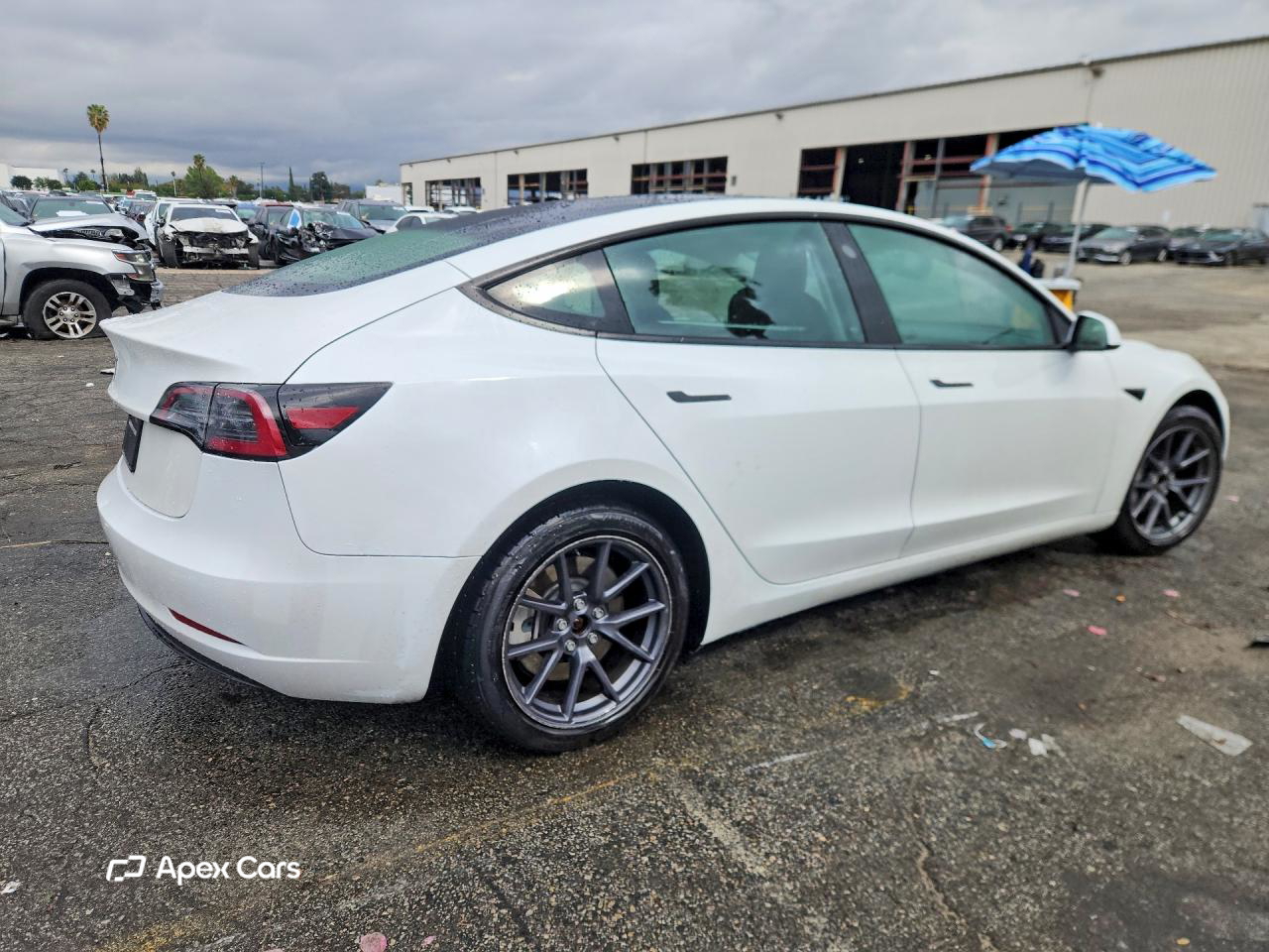 Tesla Model 3 2023