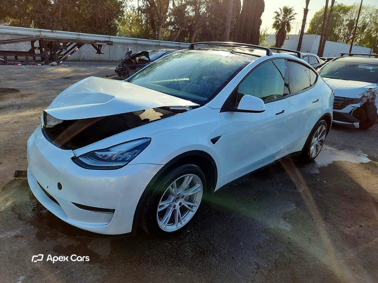 Tesla Model Y 2022