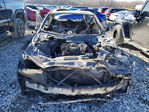 BMW  2019