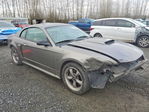 Ford Mustang 2001