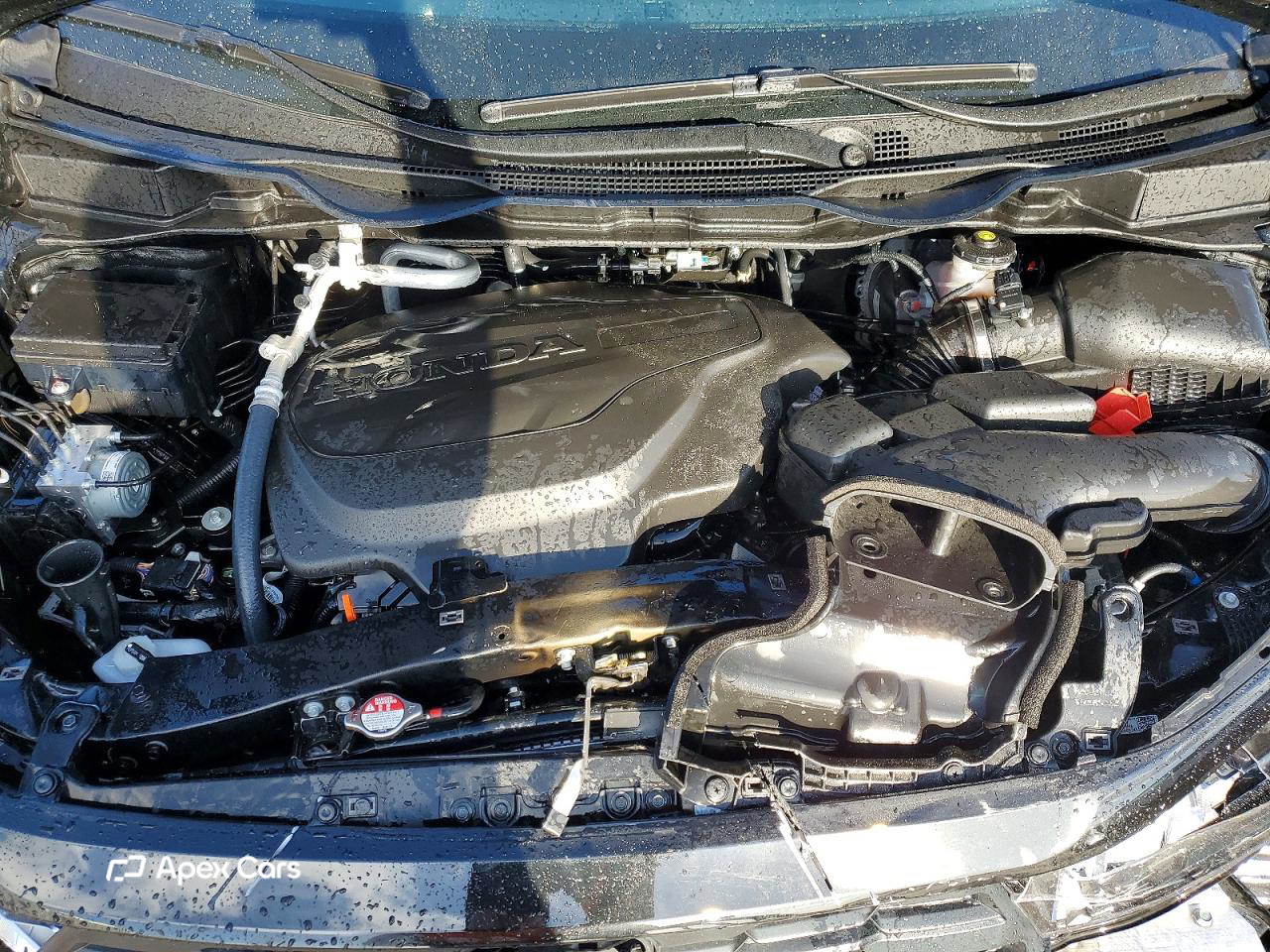 Honda Odyssey 2025