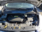Ford Escape 2013