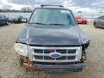 Ford Escape 2012
